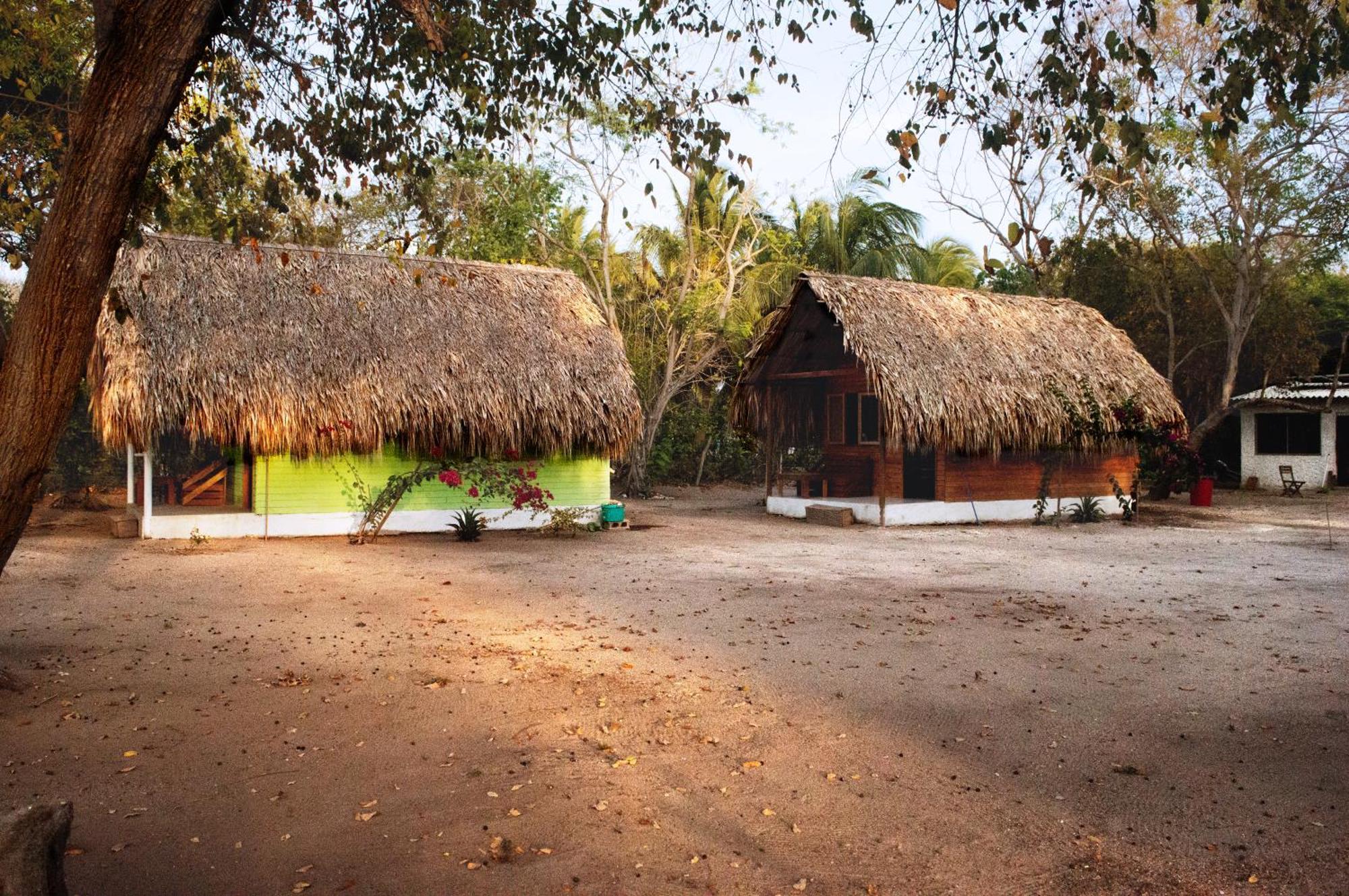 Palma Plata Islas Del Rosario Isla Grande  Exterior foto